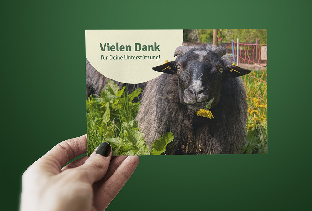 Hand hält eine Postkarte mit den Worten "Vielen Dank für Deine Unterstützung" und einem Schaf als Motiv